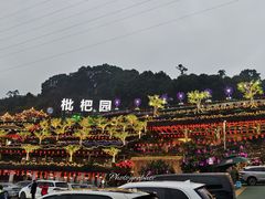 -枇杷园食为鲜火锅(南山店)