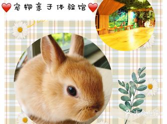 来小众体验馆一起亲近小动物