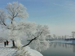 android_upload_pic-雾凇岛