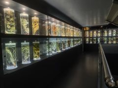 -广东中医药博物馆