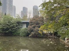 -西苑公园