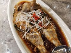 -青雅中餐厅(大连金石滩绿发希尔顿度假酒店)