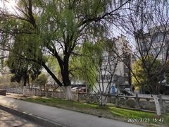 -佬土鹅肠火锅(解放路店)
