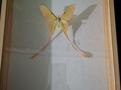 -利顺德博物馆