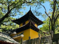 -普陀山风景名胜区-法雨禅寺
