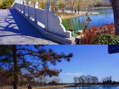 -大兴滨河森林公园