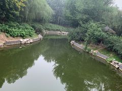 -大兴滨河森林公园