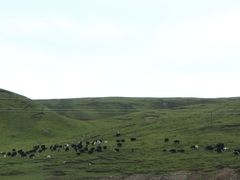 -橡皮山