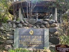 -张家港金凤凰度假村温泉