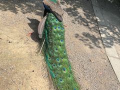 -宁波野生动物园