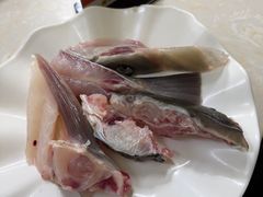 -源港渔村-中山脆肉鲩(博罗店)