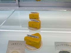 -TD66高山铁皮石斛养生茶饮