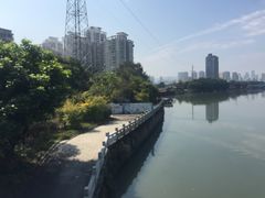 -光明港公园