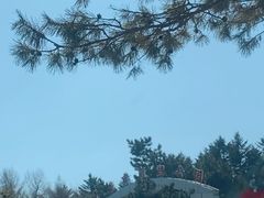 -长春市南湖公园