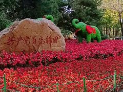 -长白岛森林公园