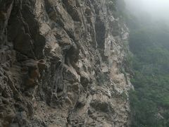 -少华山国家森林公园