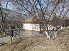 -桃花堤公园