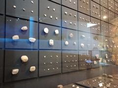 展品-北京周口店北京人遗址博物馆