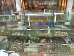 水产区-四海鲜渔家菜(黄金海岸店)