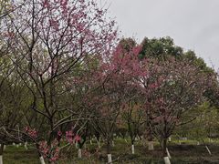 -福清灵石山国家森林公园