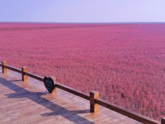-红海滩国家风景廊道