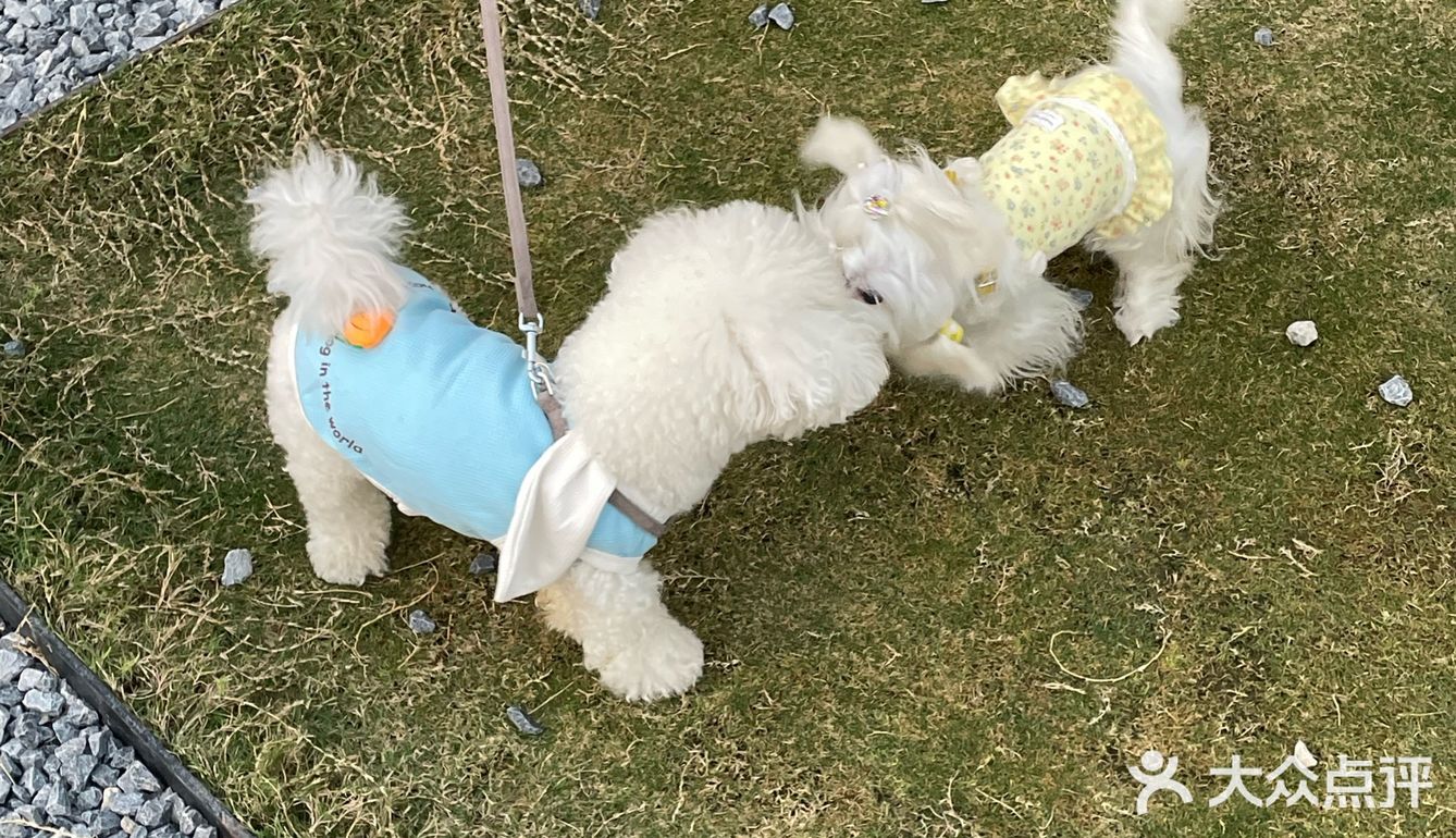 西安|超适合秋天去的农场餐厅(附攻略🍕