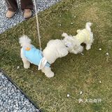 西安|超适合秋天去的农场餐厅(附攻略🍕