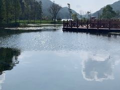 -广州市石门国家森林公园