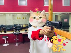 -猎鹰射击俱乐部
