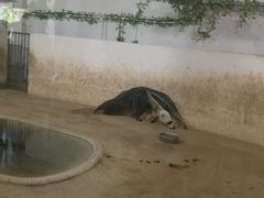 -石家庄市动物园