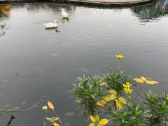 -YUNHE秐合· 雅致浙宴(西溪店)
