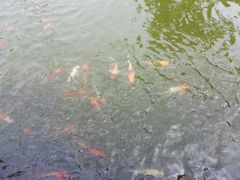 -七仙岭温泉国家森林公园