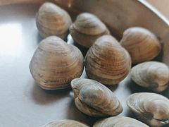 -青蓬蒸汽海鲜·深圳老字号·团建聚会(壹方城店)