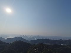 -大金鹰园