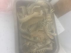 -王潮活海鲜自助·蒸汽海鲜