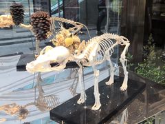 -植物学家的女儿(北马道巷店)