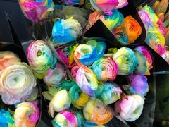 -双季花艺园艺市场(浦东店)