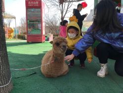 -萌宠亲子动物乐园(槐房万达店)