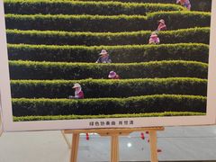 -万达广场(广州番禺店)
