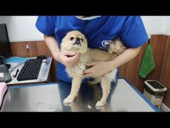 -宠福鑫动物医院·动物疾病诊疗中心(天通苑店)