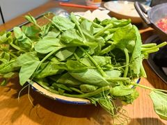 -阳阳老火锅(小南门店)