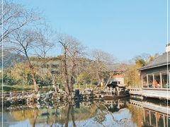 -绿茶餐厅(龙井船宴· 品牌总店)