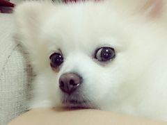 iphone_upload_pic-爱侣宠医·鹦鹉专科·小型哺乳类·异宠专科(灵石路店)