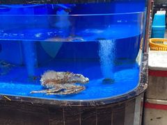 水产区-张家卫·阳江菜·小海鲜(肥婆湾桥店)