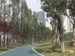 -后襄河公园