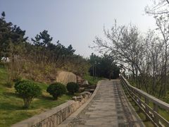 -燕儿岛山公园