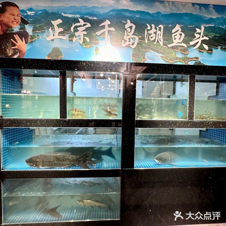 不在千岛湖在杭州!!淳牌鱼头吃上了!!