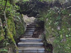 -山王坪喀斯特国家生态公园