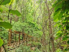 -大岭沟猕猴桃谷风景区