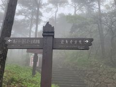 -天柱山风景区